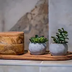 Tempus Te In Noblessner Apartment *
