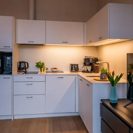 Apartment Tempus Te In Noblessner Reval